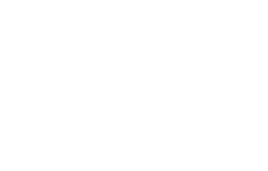 Parastoo logo